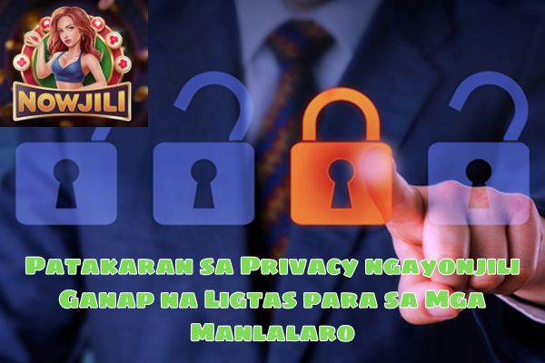 Patakaran sa Privacy ngayonjili Ganap na Ligtas para sa Mga Manlalaro